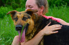 MORITZ, Hund, Mischlingshund in Slowakische Republik - Bild 3