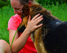 MORITZ, Hund, Mischlingshund in Slowakische Republik - Bild 7