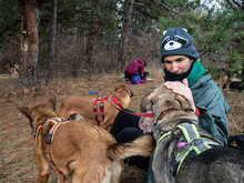 PANCHO, Hund, Mischlingshund in Großheirath - Bild 15