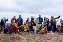 PANCHO, Hund, Mischlingshund in Großheirath - Bild 17