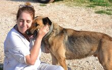 HUGORENE, Hund, Mischlingshund in Griechenland - Bild 14