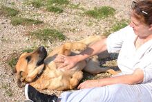 EGON, Hund, Mischlingshund in Griechenland - Bild 15