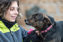 LEO, Hund, Mischlingshund in Italien - Bild 3