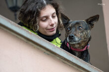 LEO, Hund, Mischlingshund in Italien - Bild 7