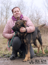 HANCOCK, Hund, Mischlingshund in Slowakische Republik - Bild 14