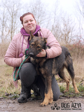 HANCOCK, Hund, Mischlingshund in Slowakische Republik - Bild 15