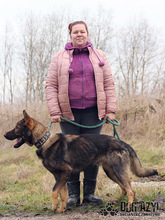 HANCOCK, Hund, Mischlingshund in Slowakische Republik - Bild 16