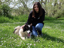 MANDALYN, Hund, Maremmano-Mix in Handewitt - Bild 6