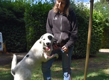 PATTIE, Hund, Mischlingshund in Italien - Bild 7