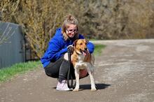 SPIKE, Hund, Mischlingshund in Slowakische Republik - Bild 5