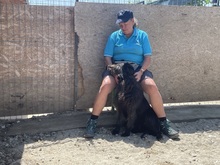 LOTTE, Hund, Mischlingshund in Waldems - Bild 20