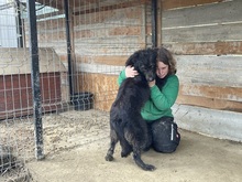 LOTTE, Hund, Mischlingshund in Waldems - Bild 25