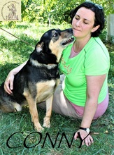 CONNY, Hund, Mischlingshund in Bosnien und Herzegowina - Bild 3