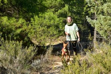 ANTON, Hund, Podenco in Spanien - Bild 16