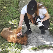 VICKO, Hund, Mischlingshund in Kroatien - Bild 9