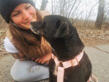 LETICIA, Hund, Pinscher-Mix in Oberuzwil - Bild 24