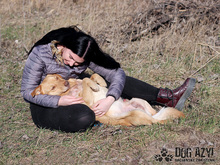 ANGELO, Hund, Mischlingshund in Slowakische Republik - Bild 15