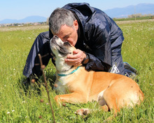 BOBBIE, Hund, Mischlingshund in Italien - Bild 9