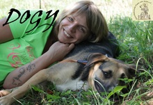 DOGY, Hund, Mischlingshund in Bosnien und Herzegowina - Bild 4