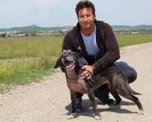 GWENI, Hund, Mischlingshund in Italien - Bild 4