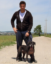 GWENI, Hund, Mischlingshund in Italien - Bild 6