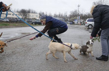 TILLMANN, Hund, Mischlingshund in Weinsberg - Bild 11