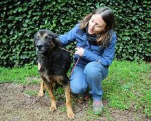 BERRY, Hund, Mischlingshund in Italien - Bild 7