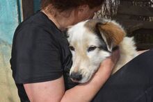 JONNA, Hund, Mischlingshund in Griechenland - Bild 16