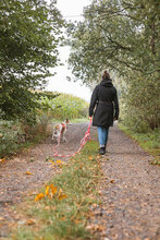 CAPPY, Hund, Mischlingshund in Osterholz-Scharmbeck - Bild 10