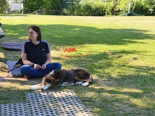 IVANA, Hund, Mischlingshund in Kassel - Bild 12