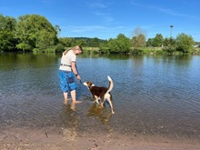 IVANA, Hund, Mischlingshund in Kassel - Bild 3