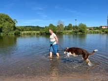 IVANA, Hund, Mischlingshund in Kassel - Bild 4