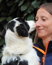 MICHELIA, Hund, Mischlingshund in Italien - Bild 17