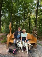 BAJOS, Hund, Jagdhund-Mix in Heidelberg - Bild 34