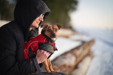 PENNY, Hund, Mischlingshund in Villingen-Schwenningen - Bild 7