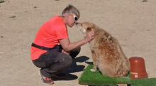 LUCY, Hund, Border Collie-Mix in Spanien - Bild 21