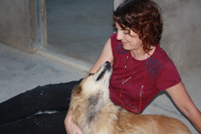 LUCY, Hund, Border Collie-Mix in Spanien - Bild 7