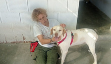 JACA, Hund, Pointer-Mix in Hockenheim - Bild 6