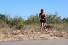 ZORRO, Hund, Podenco in Spanien - Bild 16