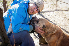 JARO, Hund, Mischlingshund in Kroatien - Bild 5