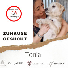 TONIA, Hund, Mischlingshund in Griechenland - Bild 1