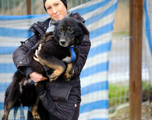 LUPITA, Hund, Mischlingshund in St. Ingbert - Bild 4