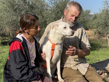 NELE, Hund, Mischlingshund in Italien - Bild 7