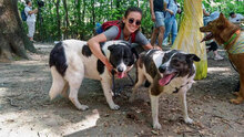 MICHELLE, Hund, Mischlingshund in Bulgarien - Bild 11