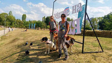 MICHELLE, Hund, Mischlingshund in Bulgarien - Bild 12