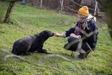 CASSIUS, Hund, Mischlingshund in Kroatien - Bild 6