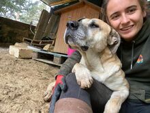 NANA, Hund, Mischlingshund in Italien - Bild 6