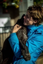 TATTOO, Hund, Deutsch Kurzhaar-Mix in Ungarn - Bild 12