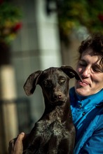 TATTOO, Hund, Deutsch Kurzhaar-Mix in Ungarn - Bild 15