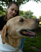 MAGNUS, Hund, Mischlingshund in Kroatien - Bild 6